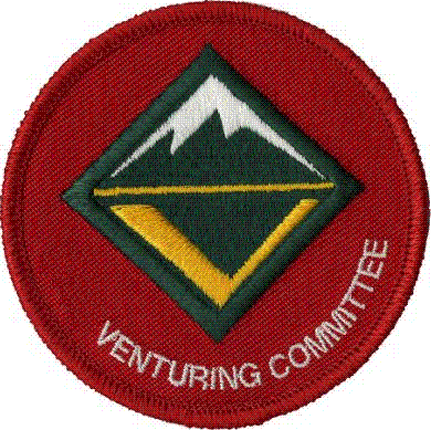 the venturing committee